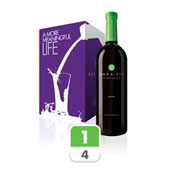 MonaVie Active